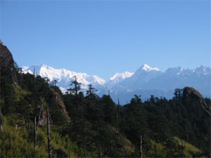 Darjeeling- Sandakphu Trekking  » Click to zoom ->