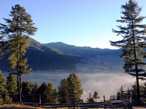 Gangtey Valley Trekking  » Click to zoom ->