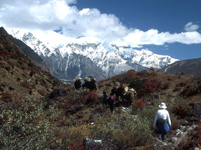 The Lunana Trekking  » Click to zoom ->