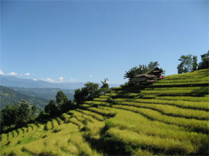 Arun Valley Trekking   » Click to zoom ->