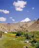 Markha Valley Trekking