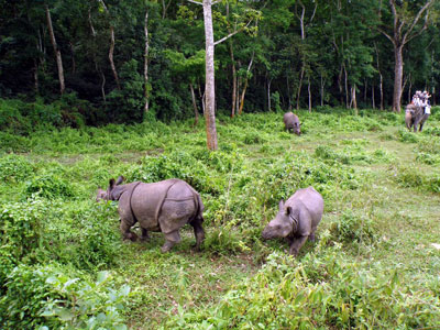 Bardia National park