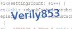 verification code